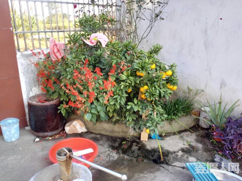 093557bjmu1zkjem1zbh61.jpg