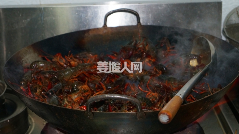 DSC03170.jpg