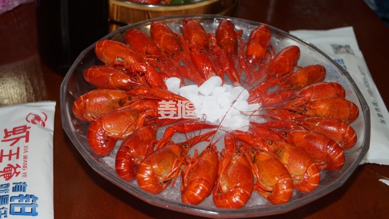 DSC03195.jpg
