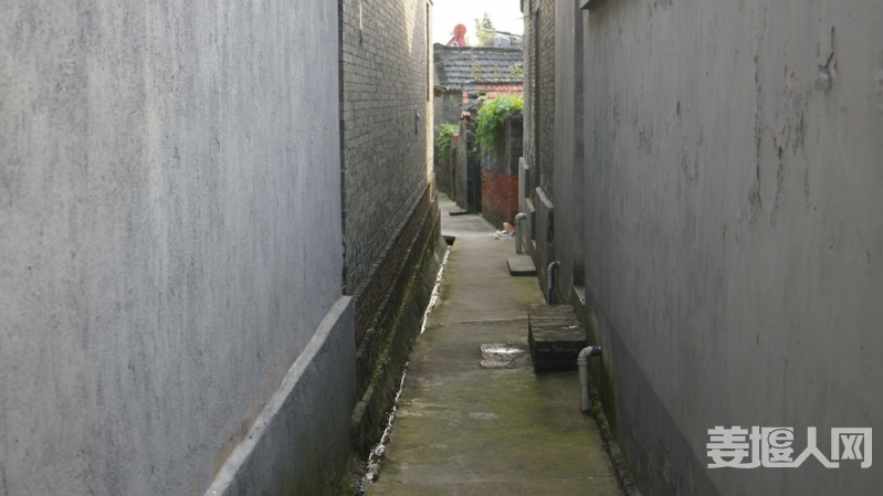 DSC03429.jpg