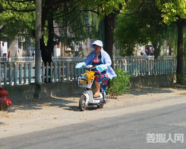 DSC03490.jpg