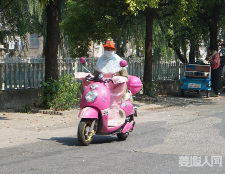 DSC03492.jpg