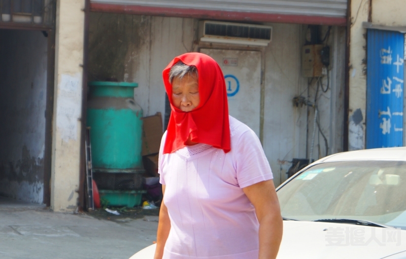 DSC03500.jpg