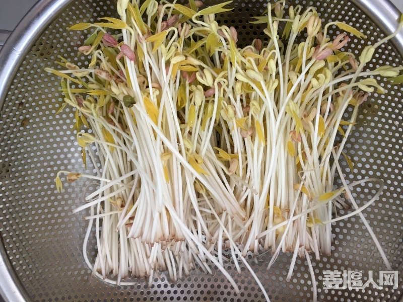 20160820081703.jpg