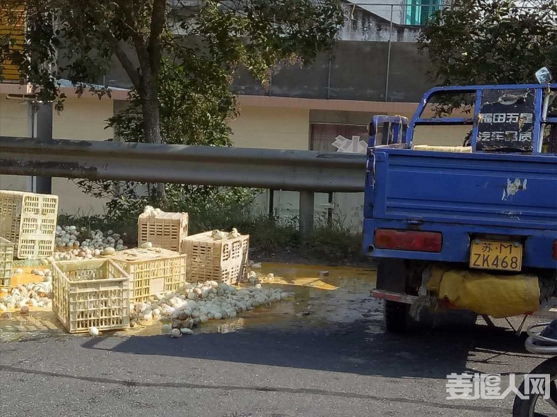 150092050753411942.jpg