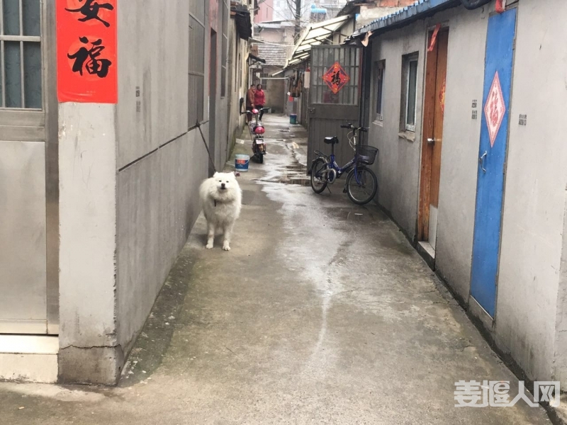微信图片_20170324081015.jpg