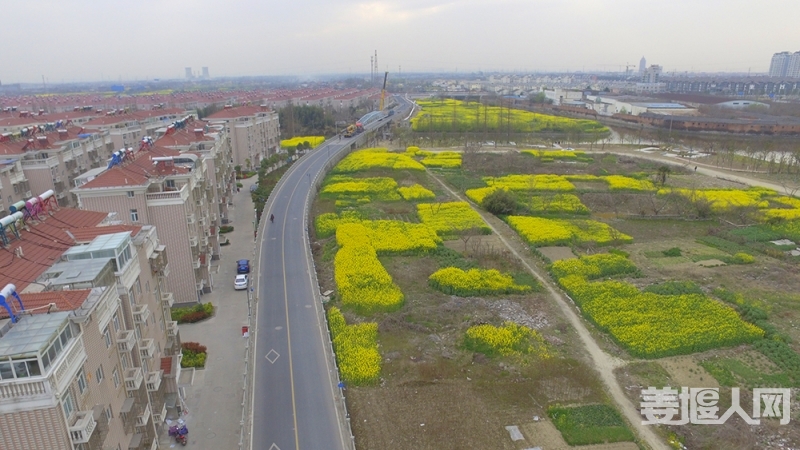 DJI_0045.JPG