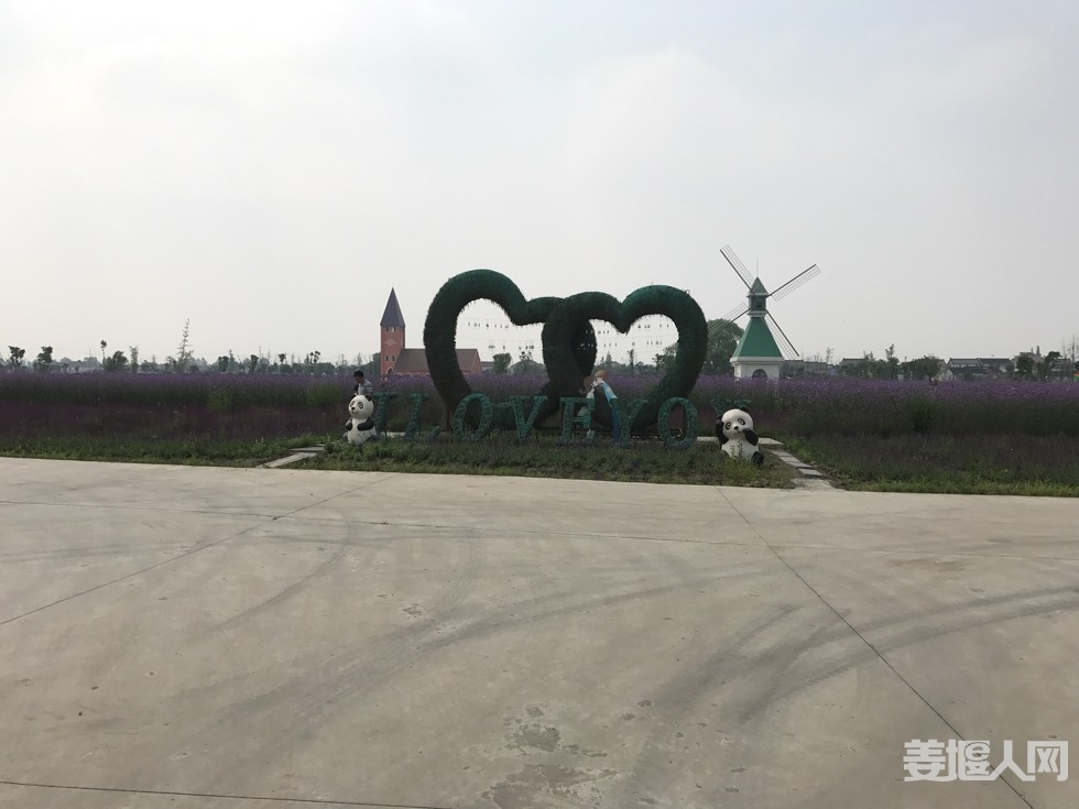 092043ryqj5afuzbssz7bd.jpg