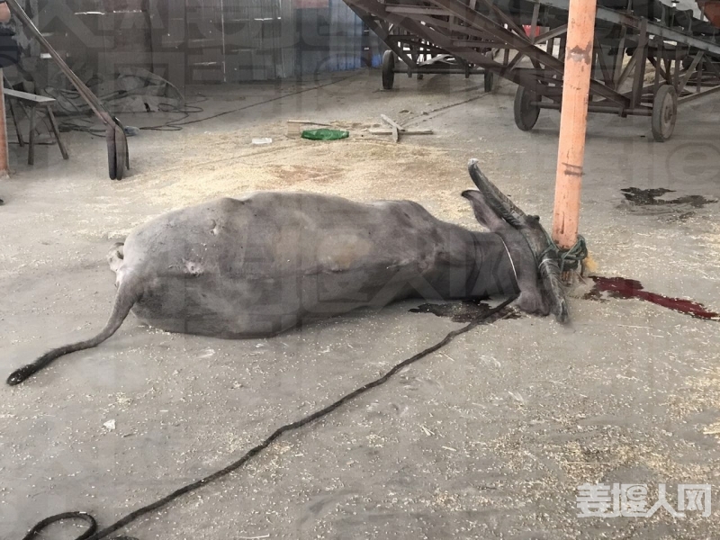 微信图片_20170612103202.jpg