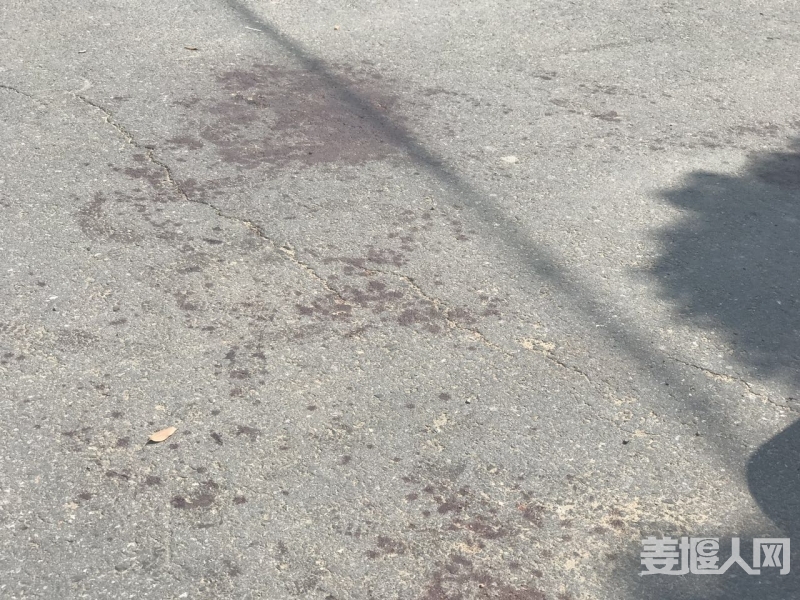 微信图片_20170707102449.jpg