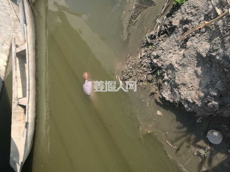 微信图片_20170725142812.jpg