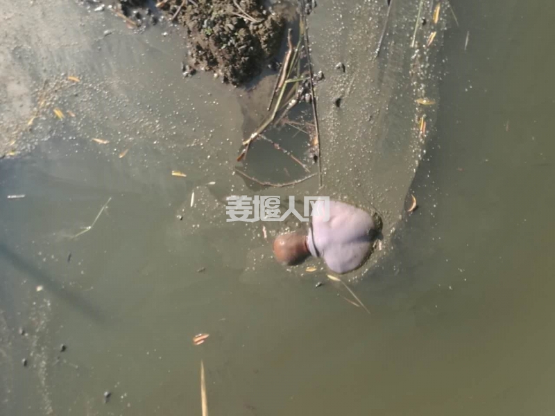 微信图片_20170725142825.jpg