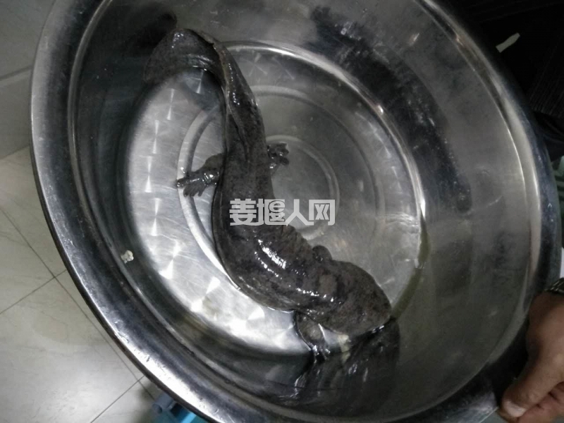 微信图片_20170815153709.jpg