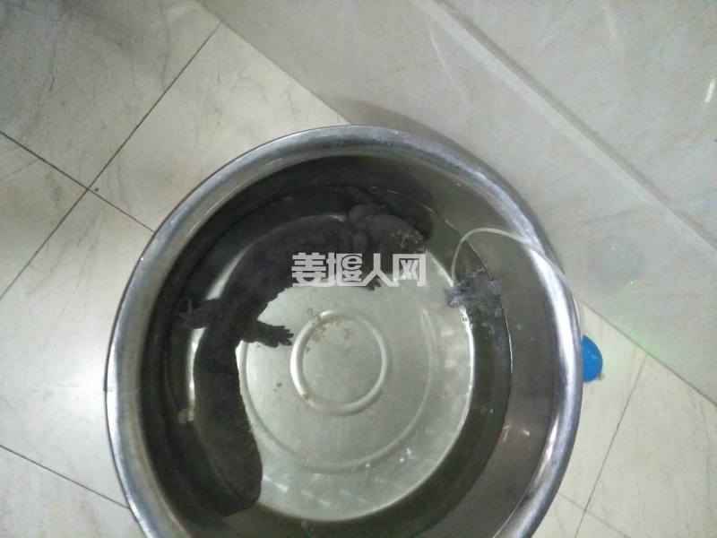 微信图片_20170815153712.jpg