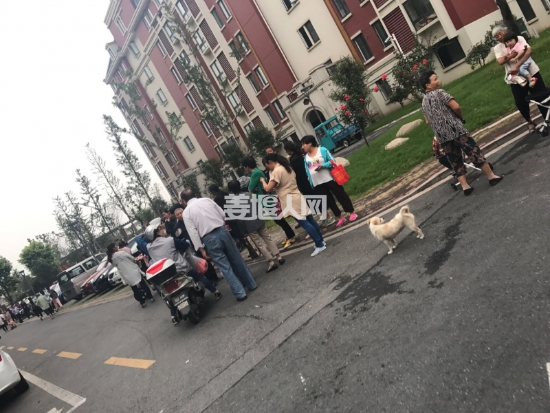微信图片_20170920171332.jpg