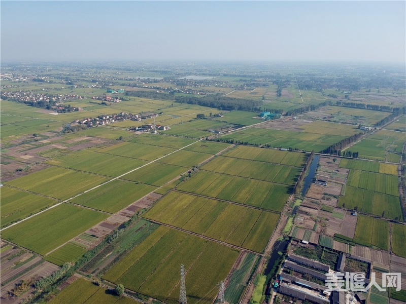 DJI_0044.JPG