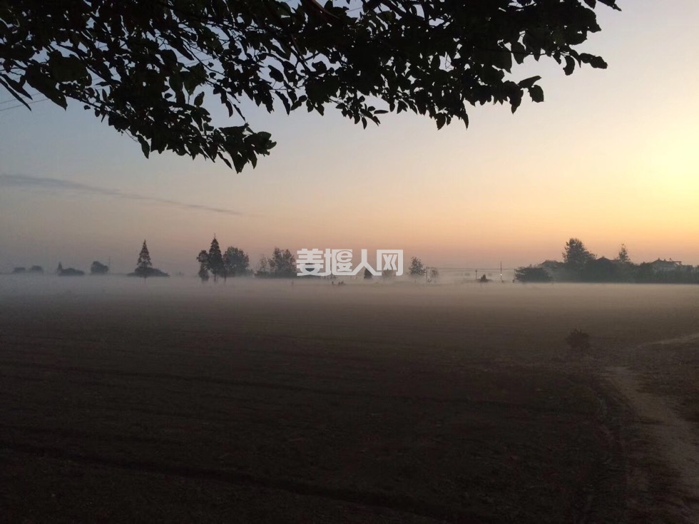 063500vclc5ydpiil45eeb.jpg