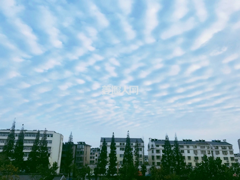 161714dh1hdrhfmuwg22hk.jpg