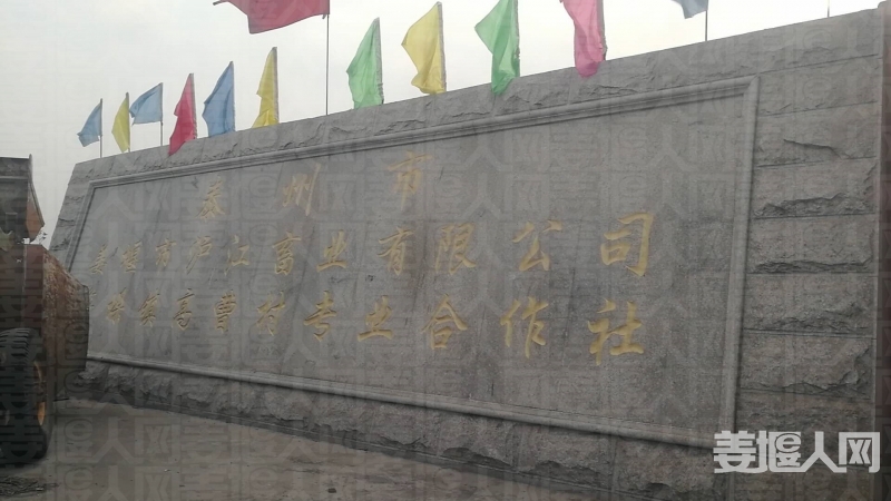 微信图片_20171129092957.jpg