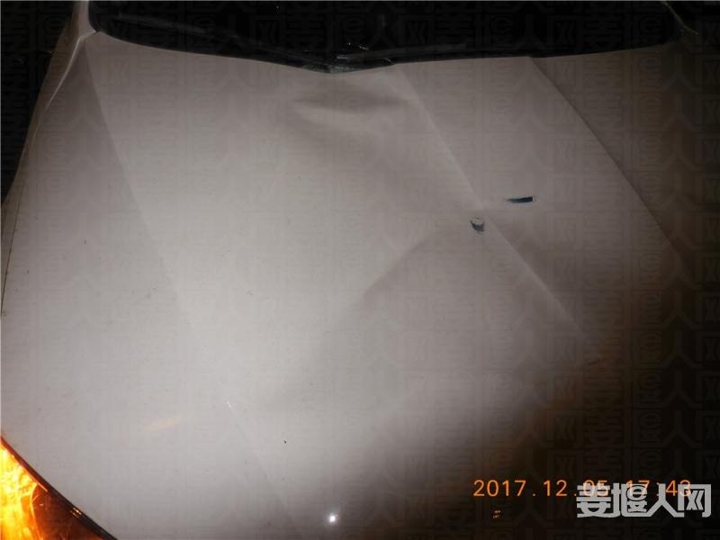 DSCN0501.jpg