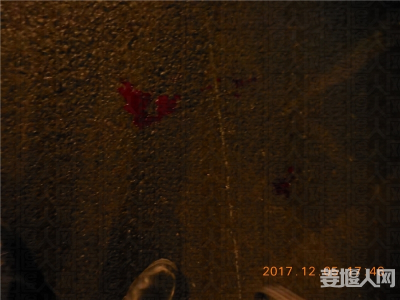DSCN0509.jpg