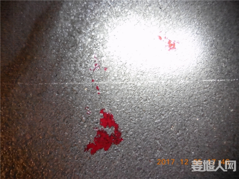 DSCN0510.jpg