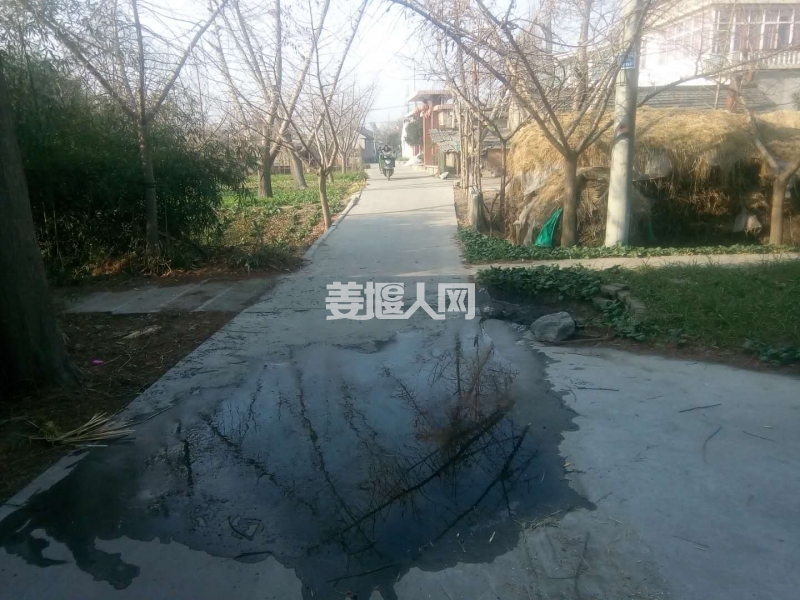 微信图片_20171227102731.jpg