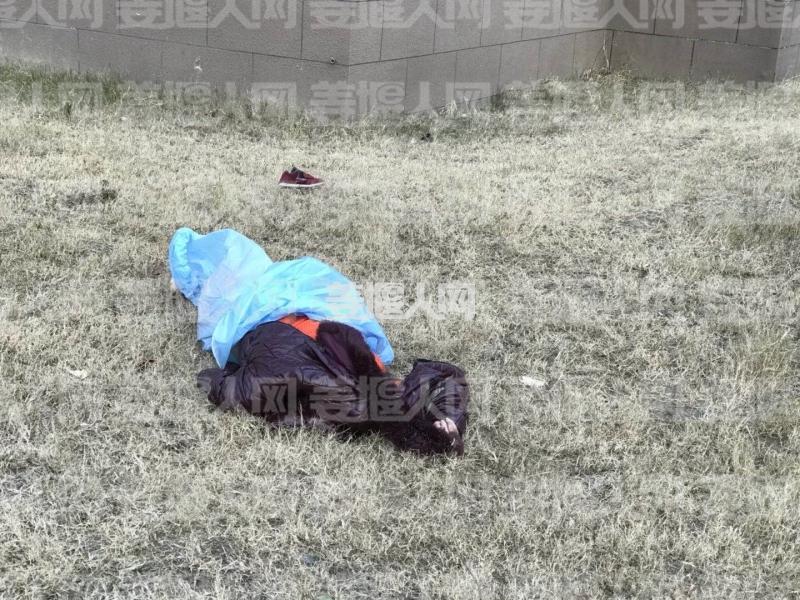 微信图片_20180114115558.jpg