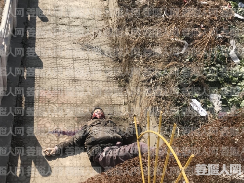 微信图片_20180203120201.jpg