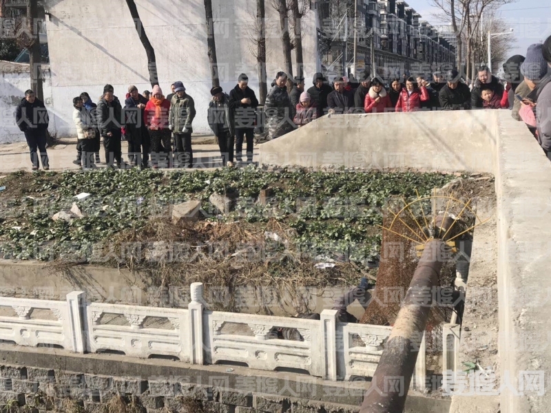 微信图片_20180203120204.jpg