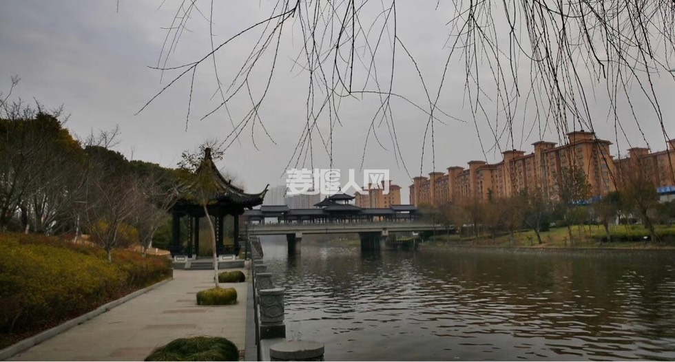 071842wq0884cq49sxsp3q.jpg