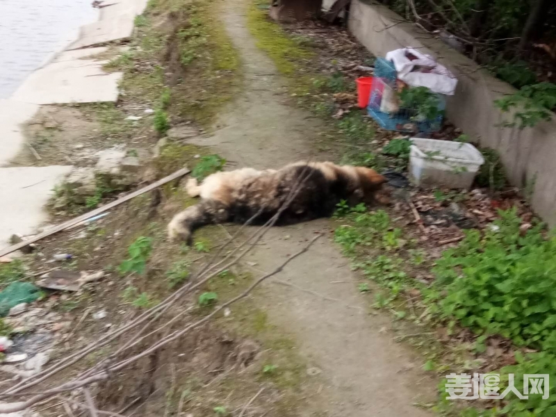 微信图片_20180521105113.jpg