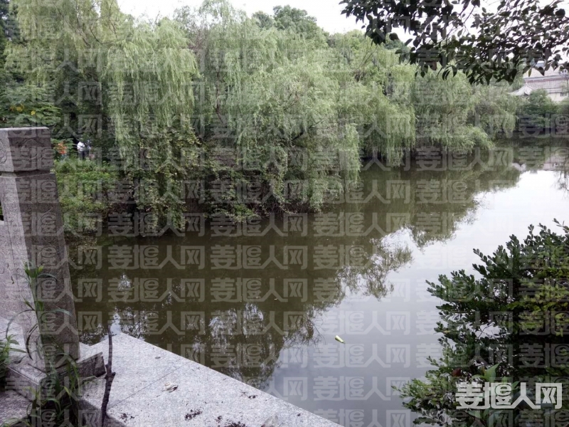 微信图片_20180710133340.jpg