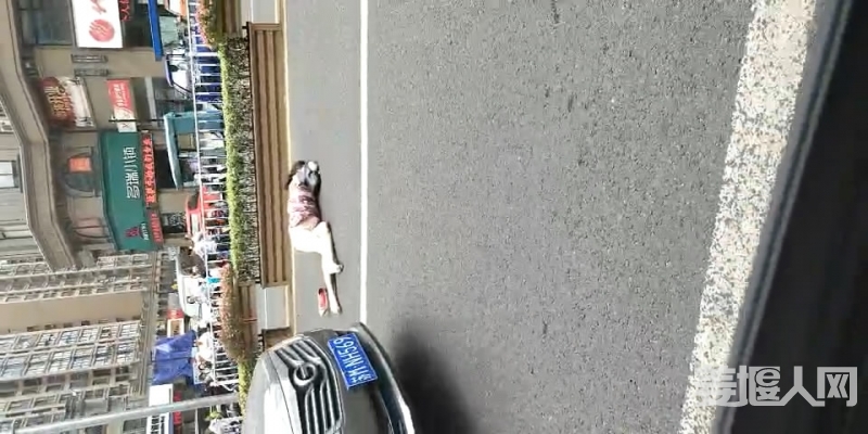 WeChat_20180716[00_00_01][20180716-143034-1].JPG