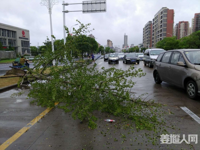 微信图片_20180817112328.jpg