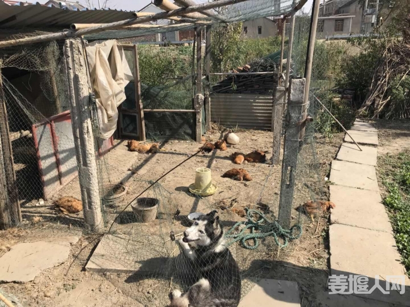 微信图片_20181031083902.jpg