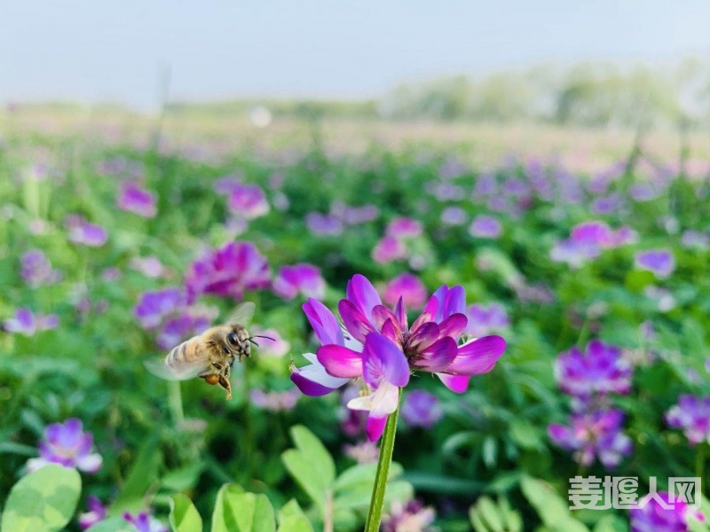 微信图片_20190408141355.jpg