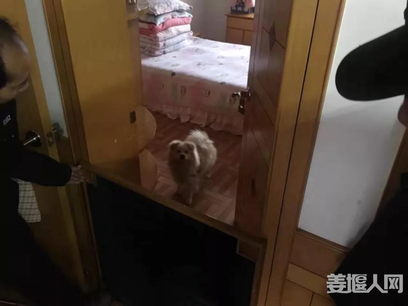 微信图片_20200108091057.jpg