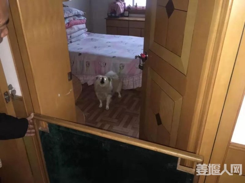 微信图片_20200108091114.jpg