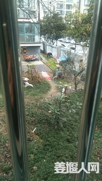 1581054712054717_421.jpg