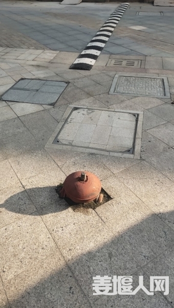 1582186364704409_328.jpg