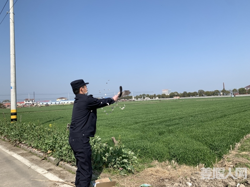 微信图片_20200306161524.jpg