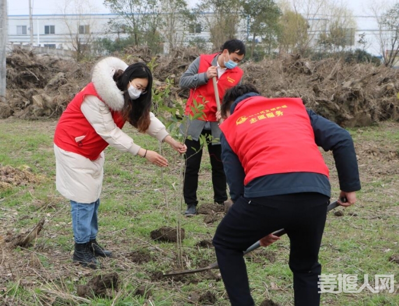 QQ截图20200313163751.jpg