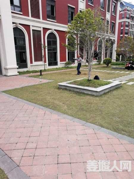 1587452387491550_829.jpg