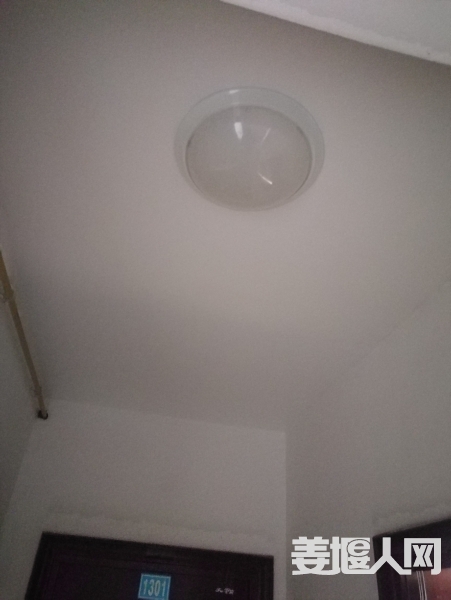 1587452845386277_132.jpg