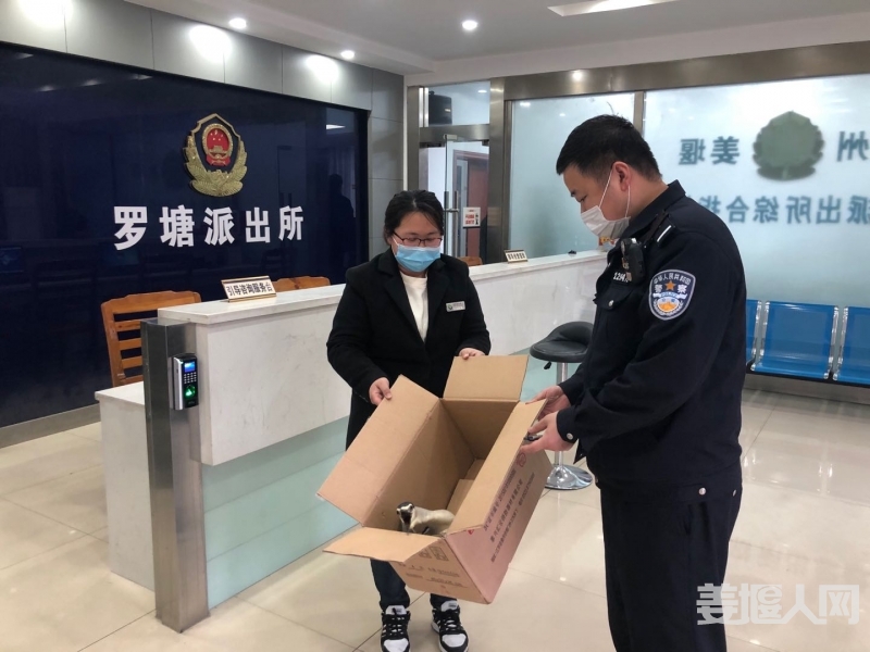 微信图片_20200422081518.jpg