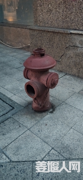 1591270252117495_370.jpg