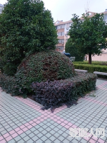 1595848381561248_848.jpg
