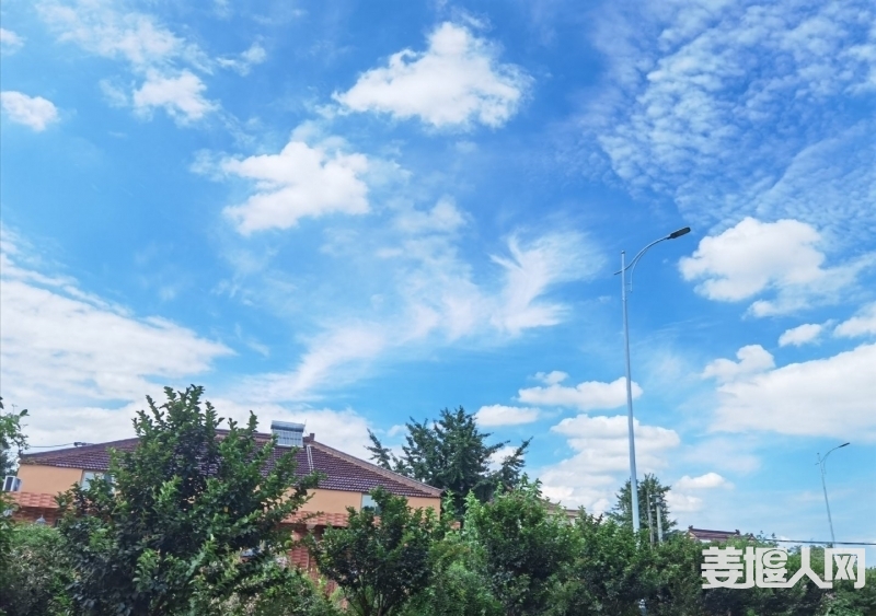 1597357018302230_930.jpg