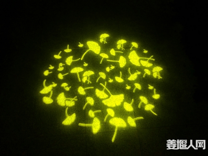 1604751406663252427.jpg